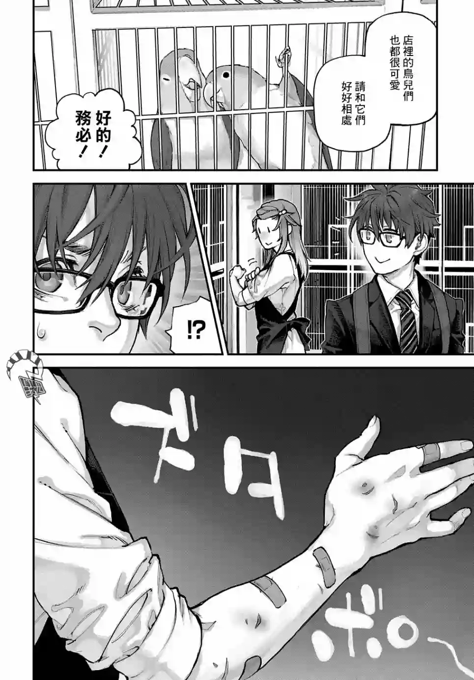 鸟成瘾者第14话