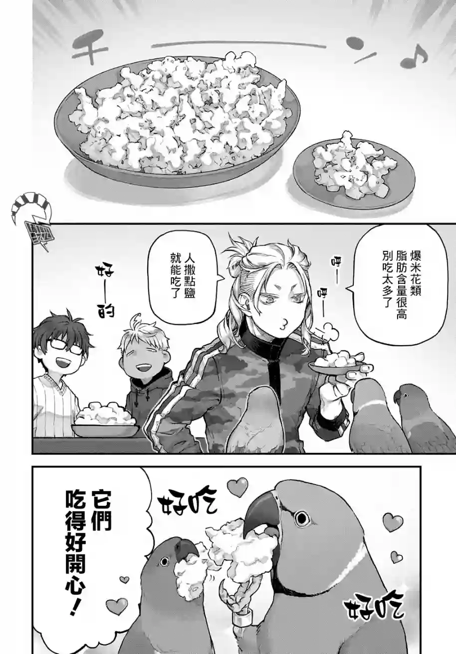 鸟成瘾者第15话