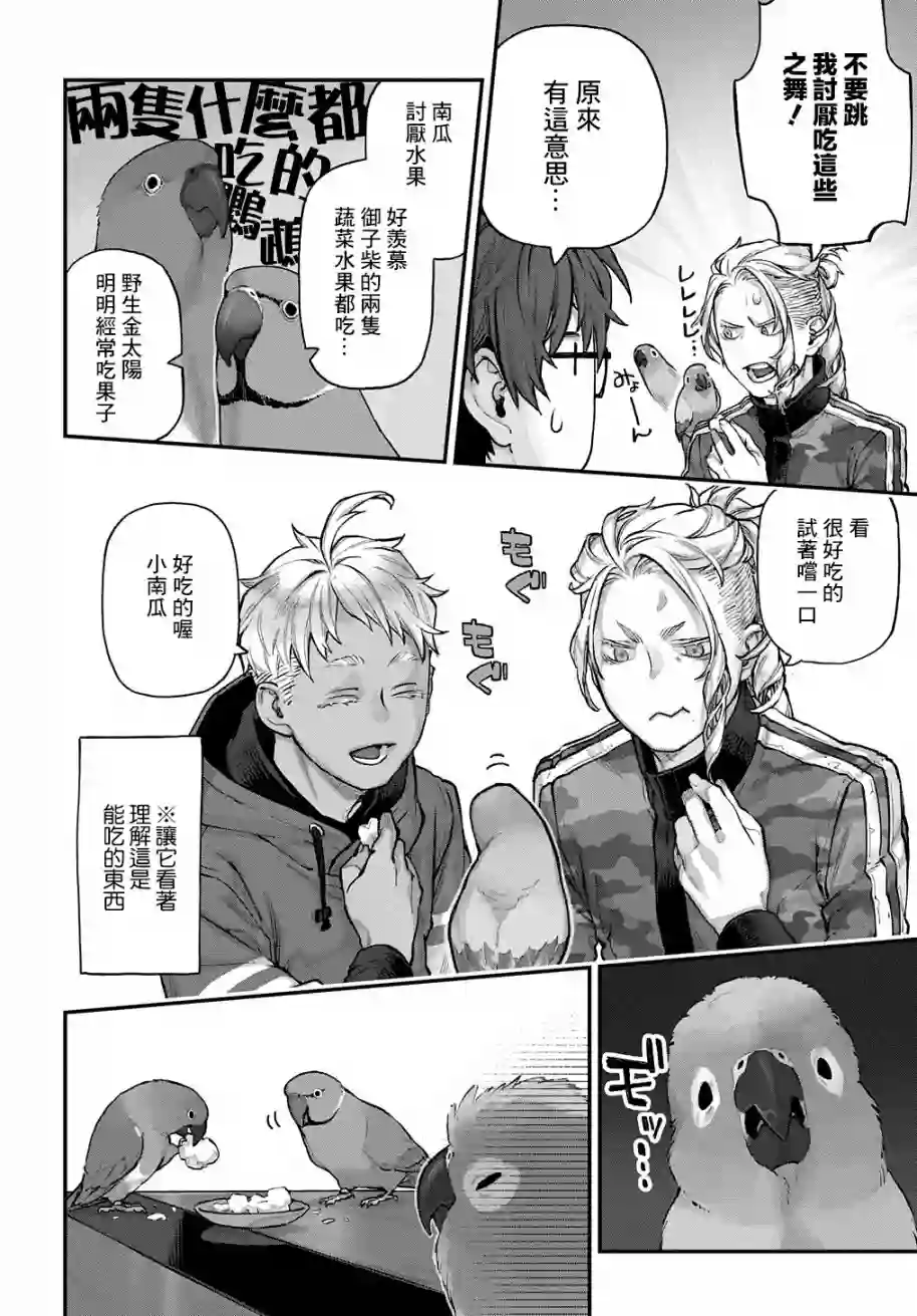 鸟成瘾者第15话