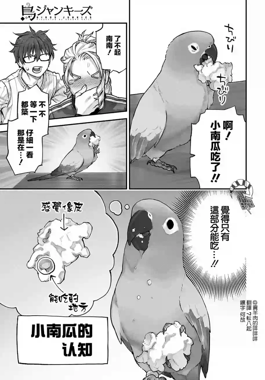 鸟成瘾者第15话