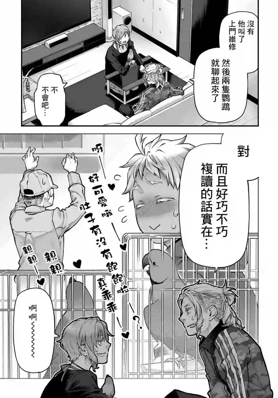 鸟成瘾者第16话