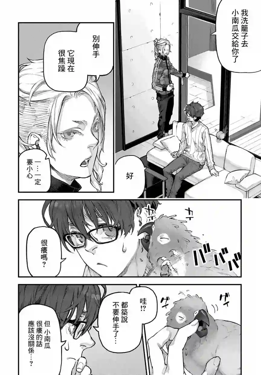 鸟成瘾者第19话