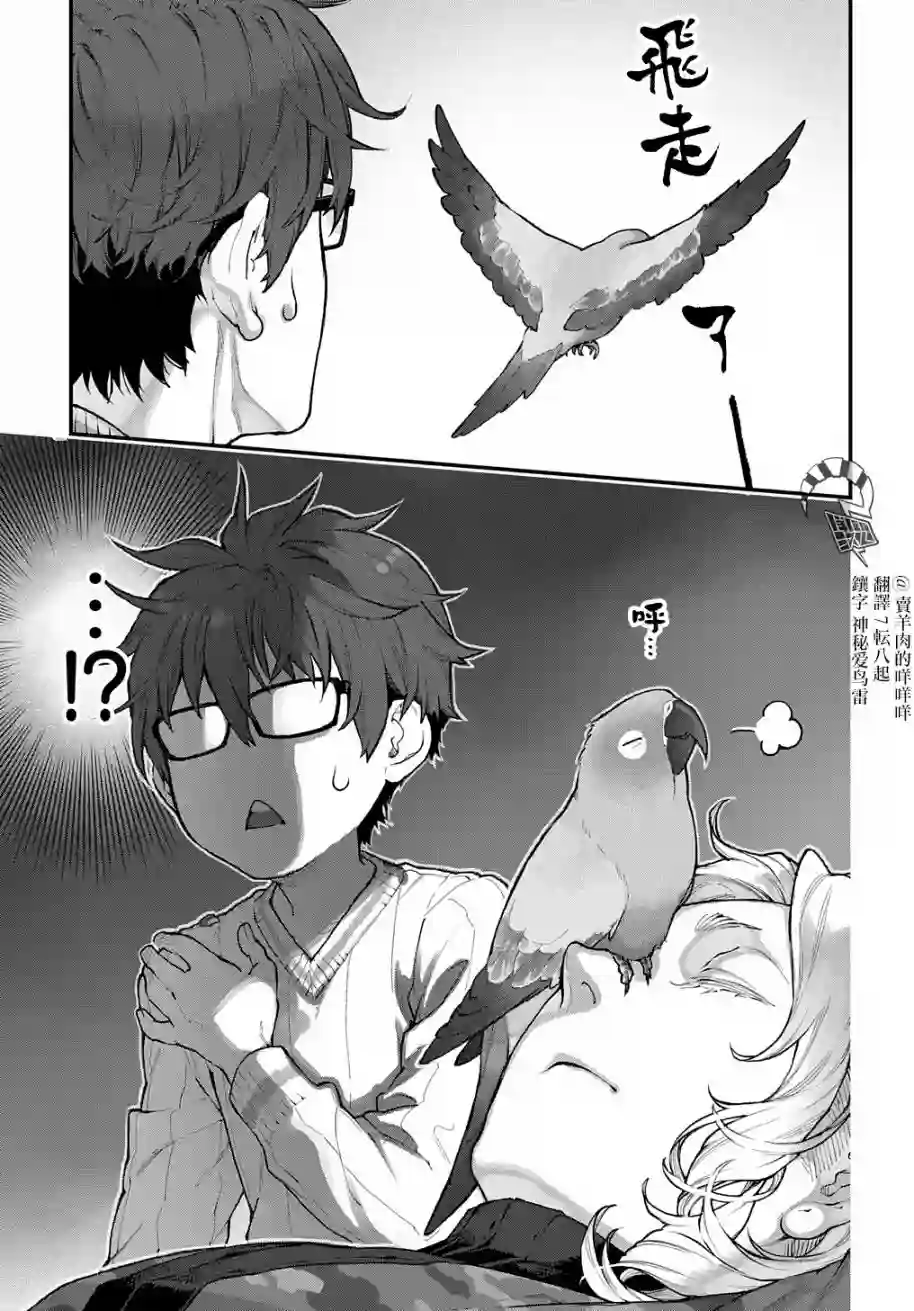 鸟成瘾者第20话
