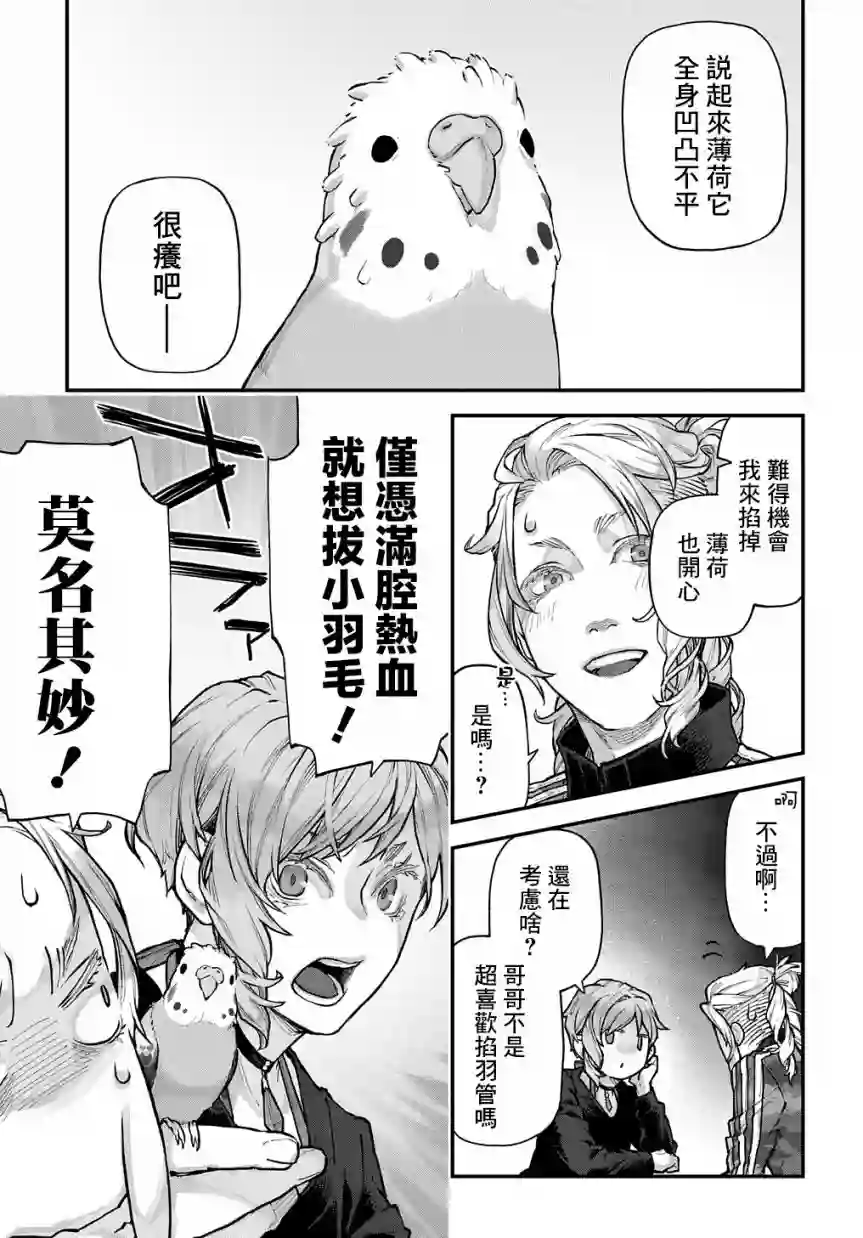 鸟成瘾者第21话