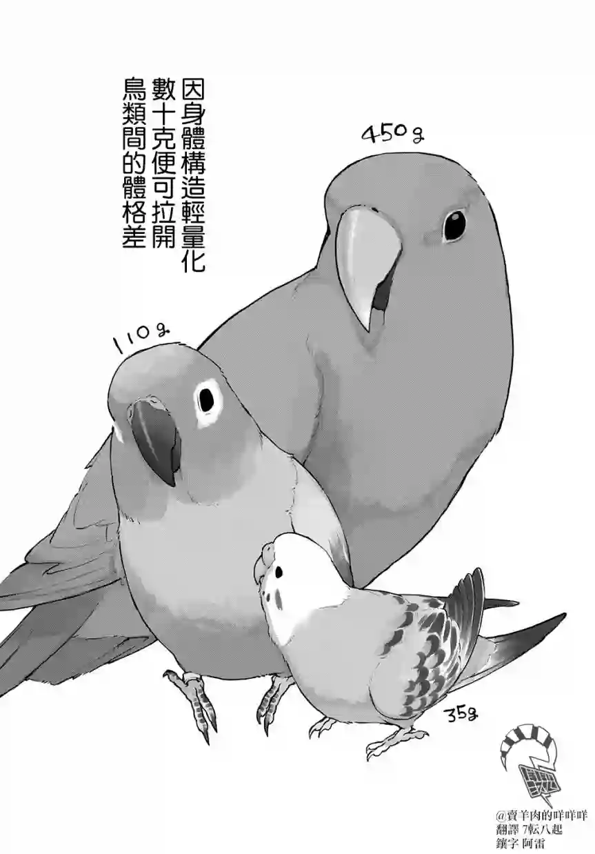 鸟成瘾者第21话