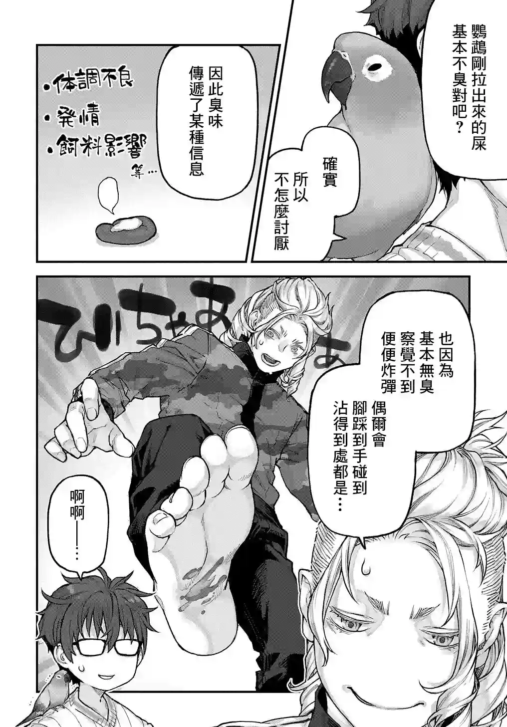 鸟成瘾者第22话