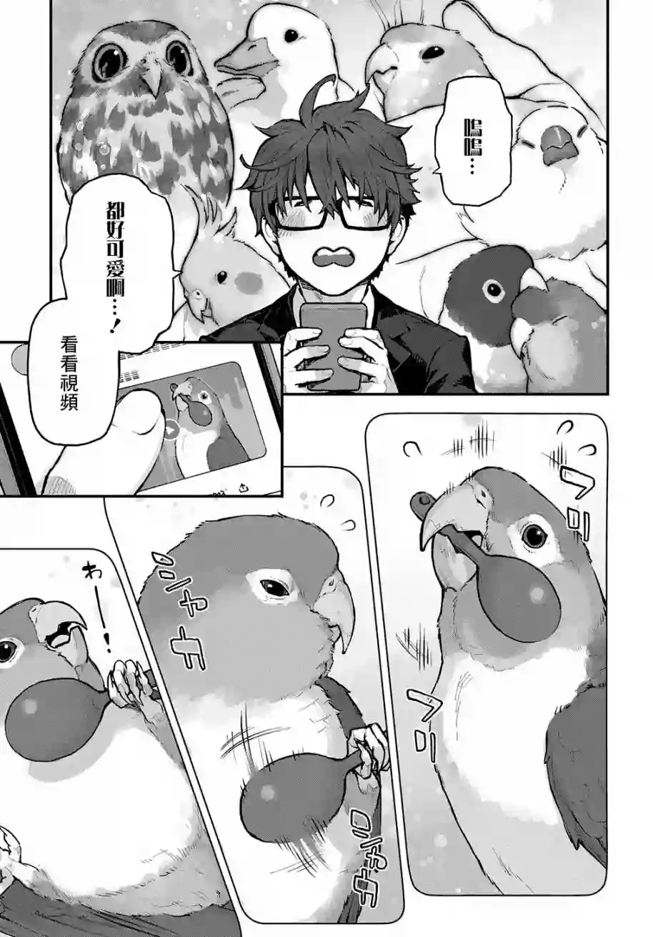 鸟成瘾者第24话