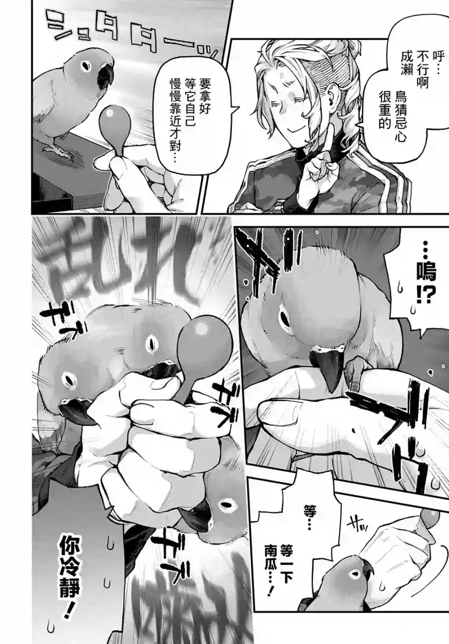 鸟成瘾者第24话