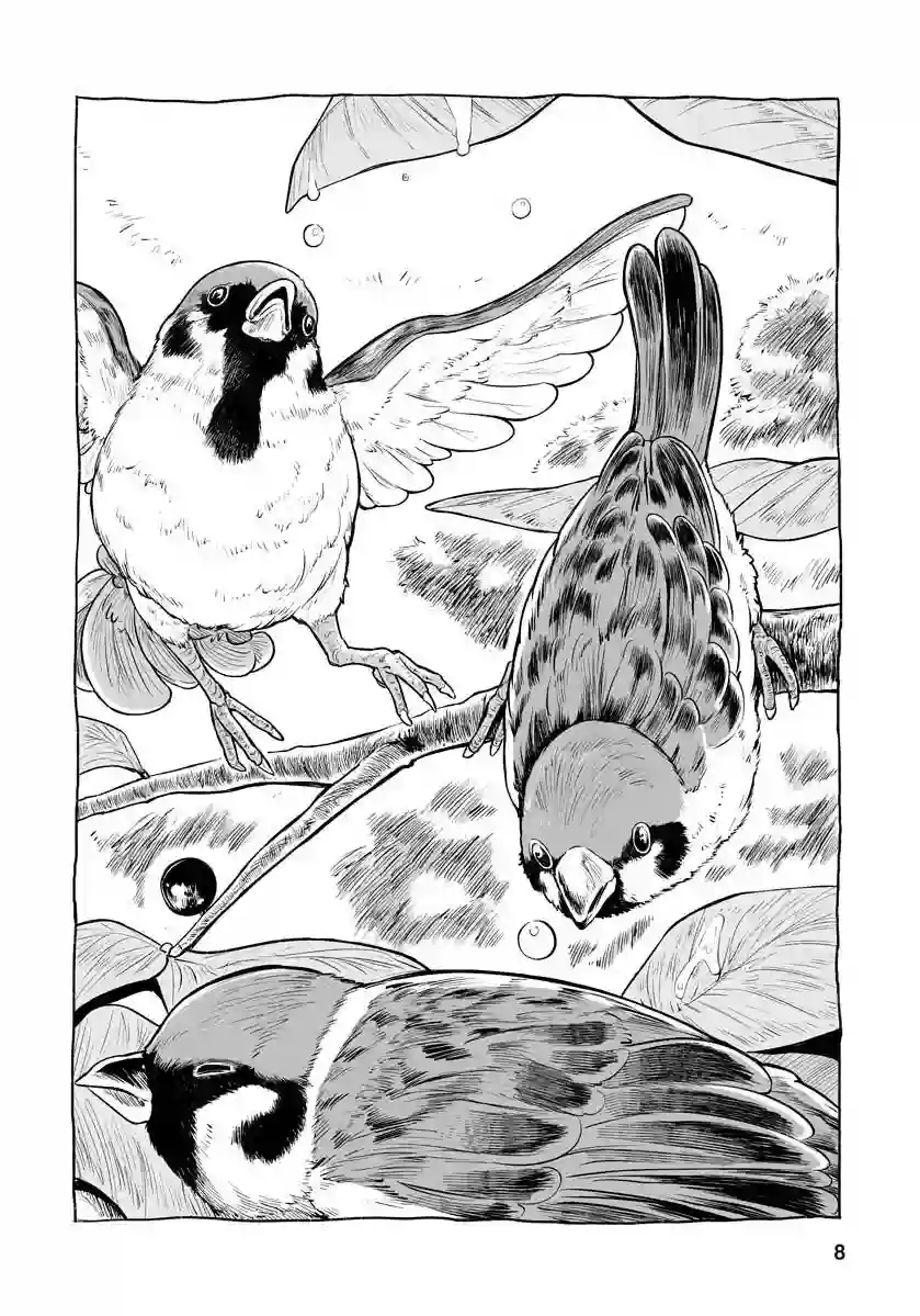 啾的报恩连载04