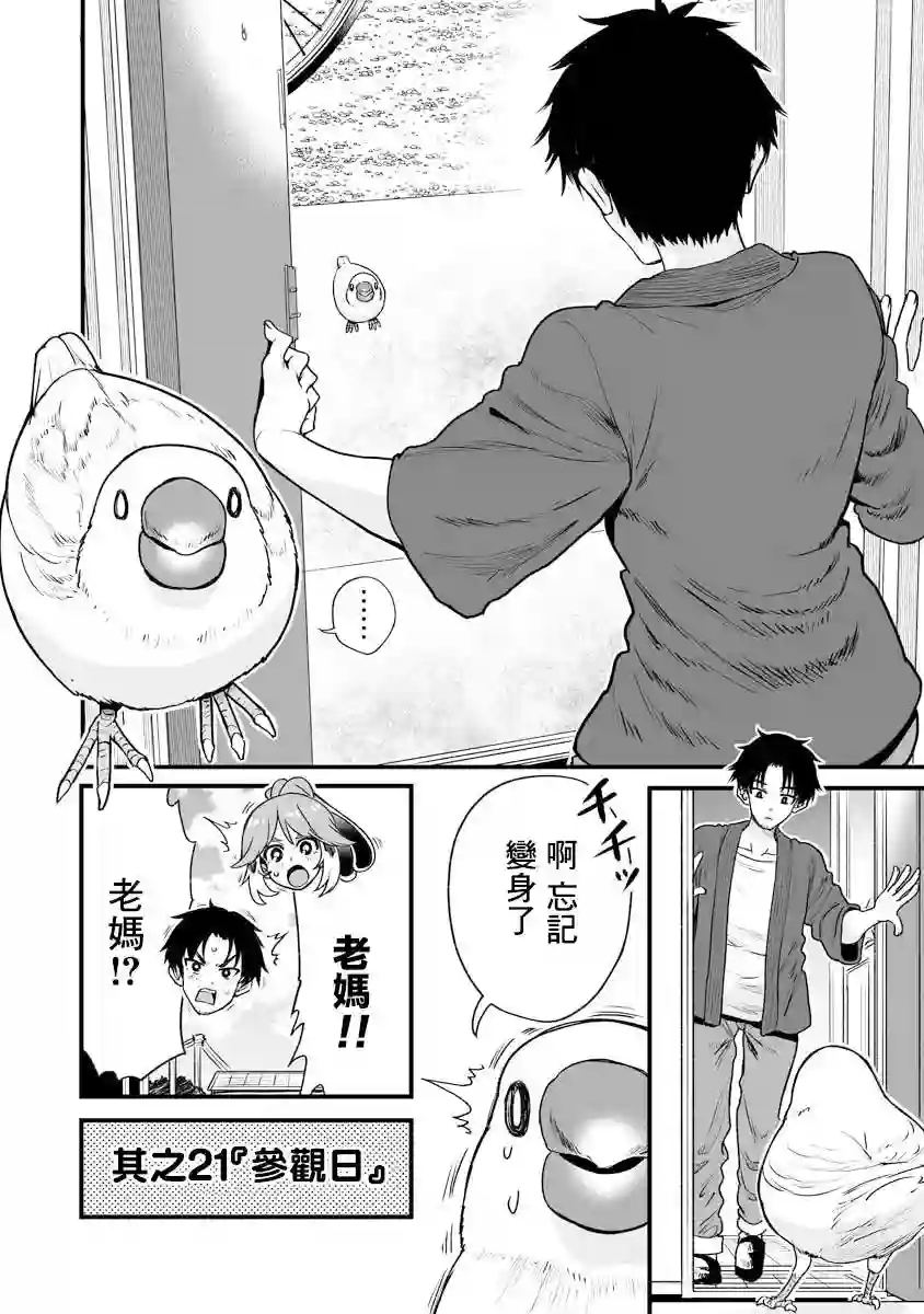 啾的报恩连载21