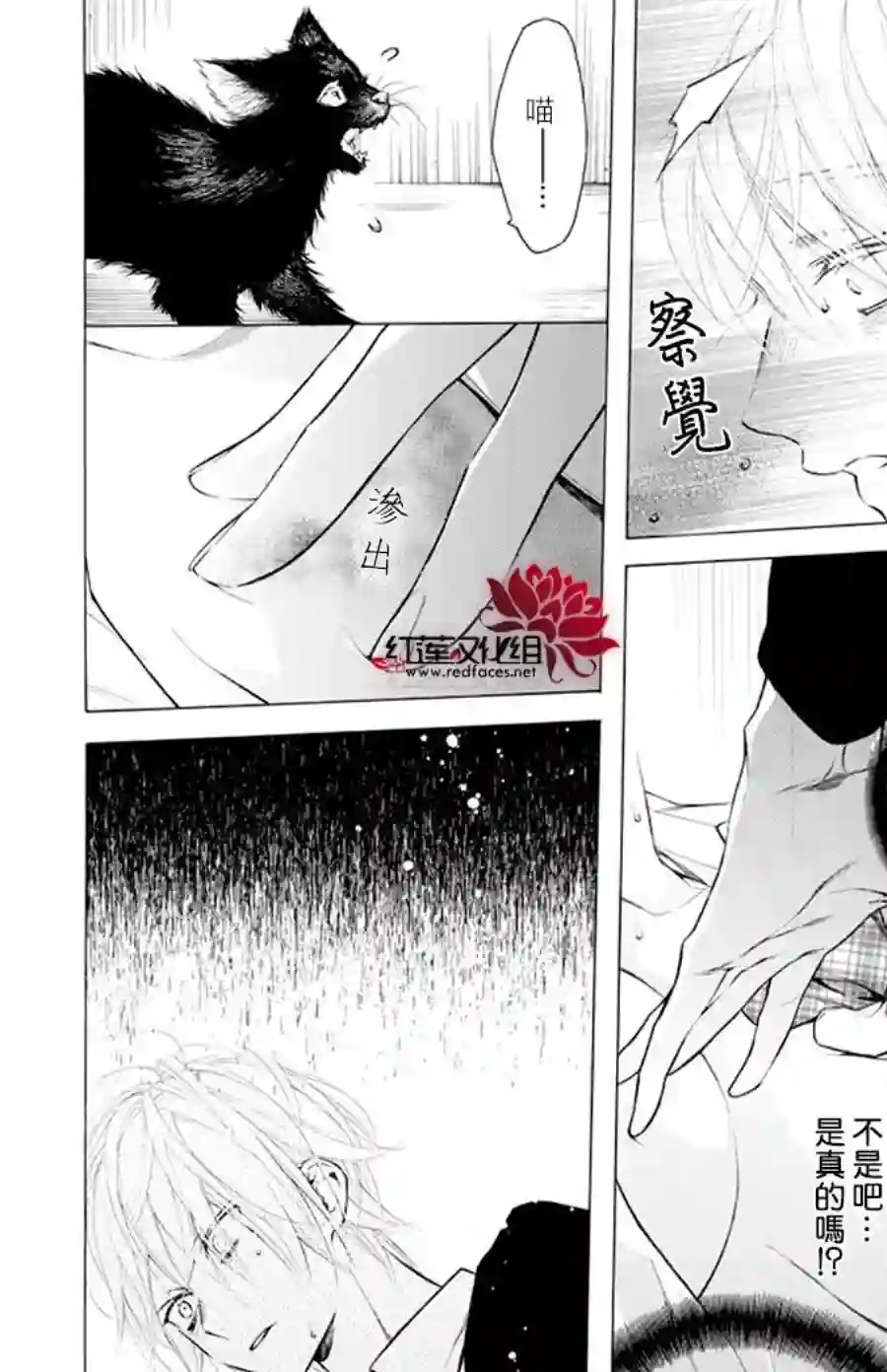 失恋girl第25话