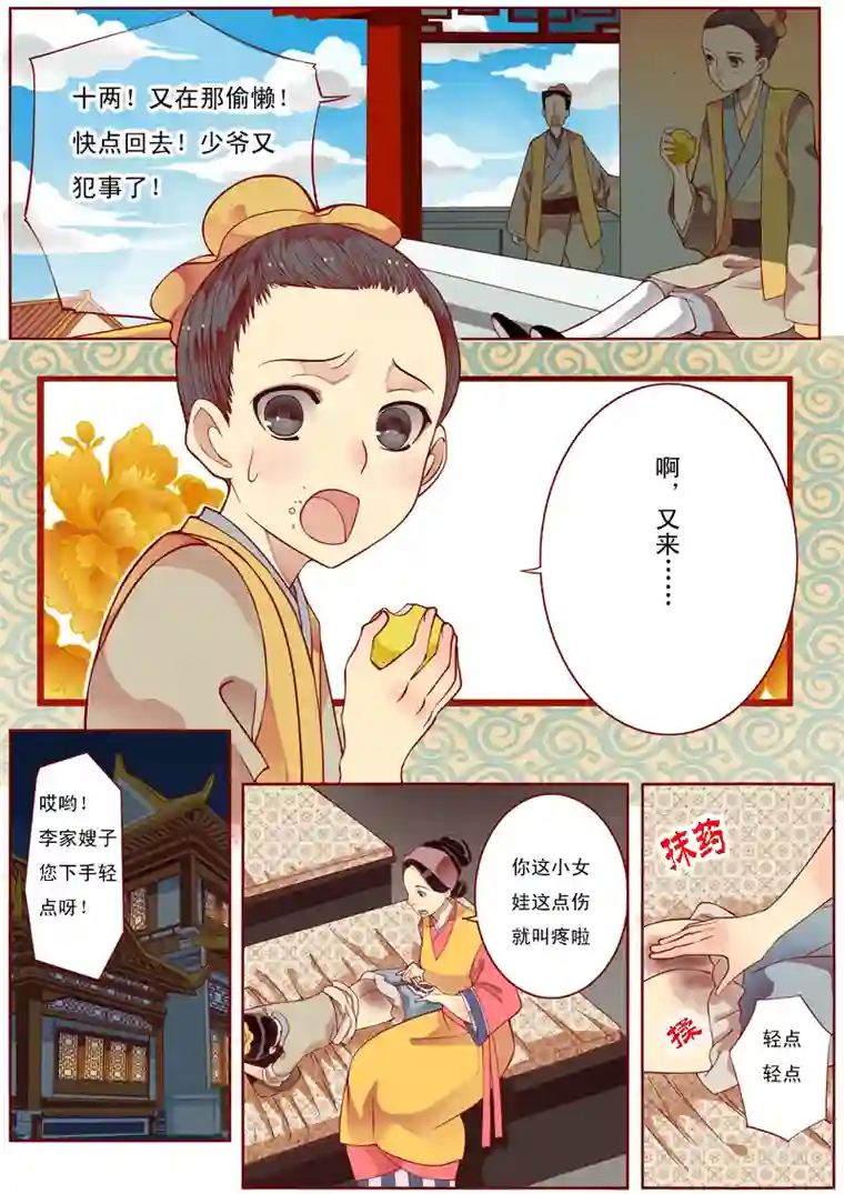 十两花芙蓉一