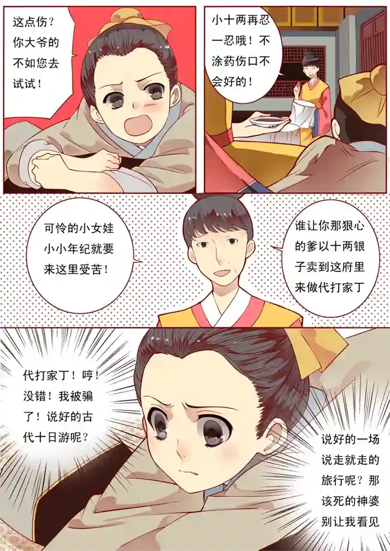 十两花芙蓉一