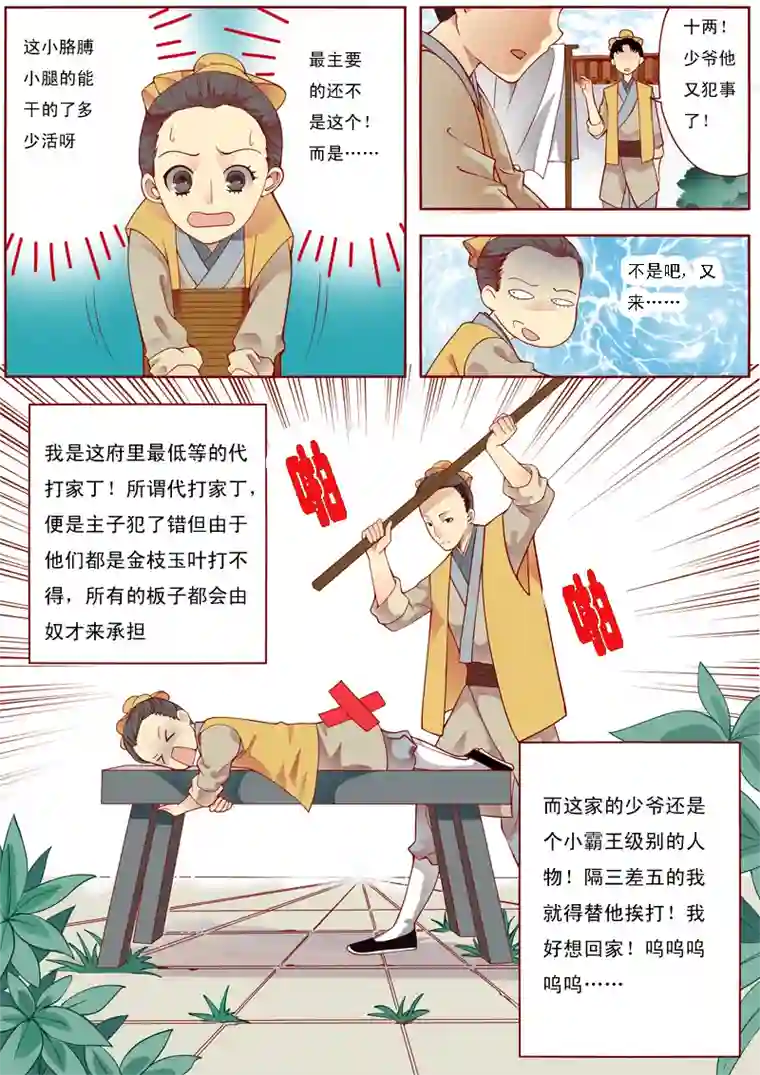 十两花芙蓉一