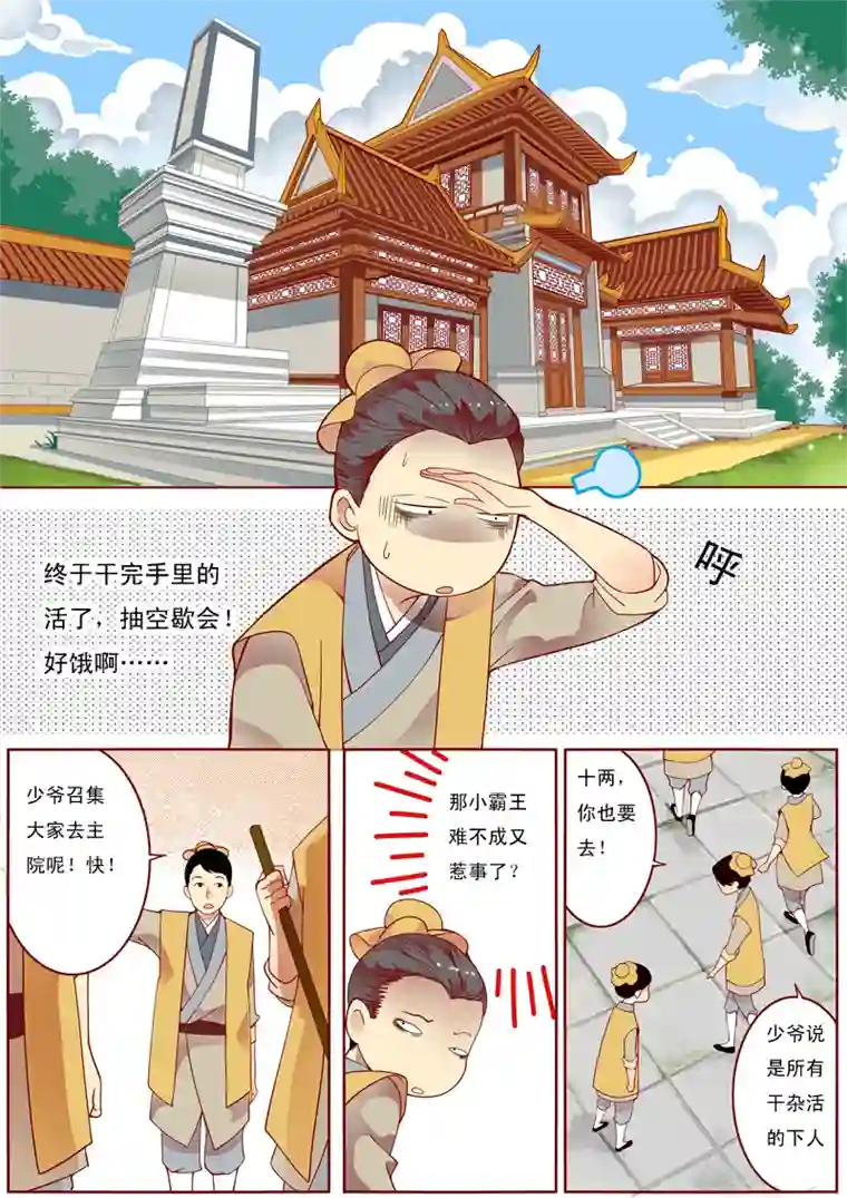 十两花芙蓉一