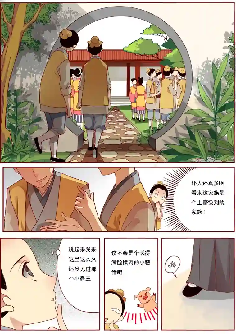 十两花芙蓉一