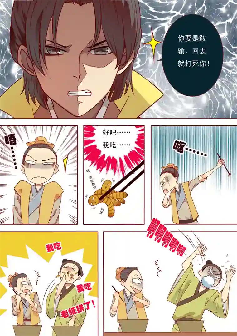十两花芙蓉二