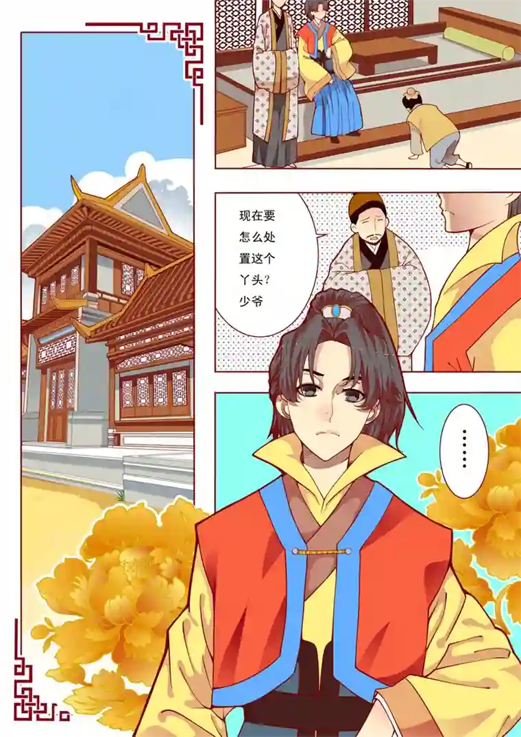 十两花芙蓉二