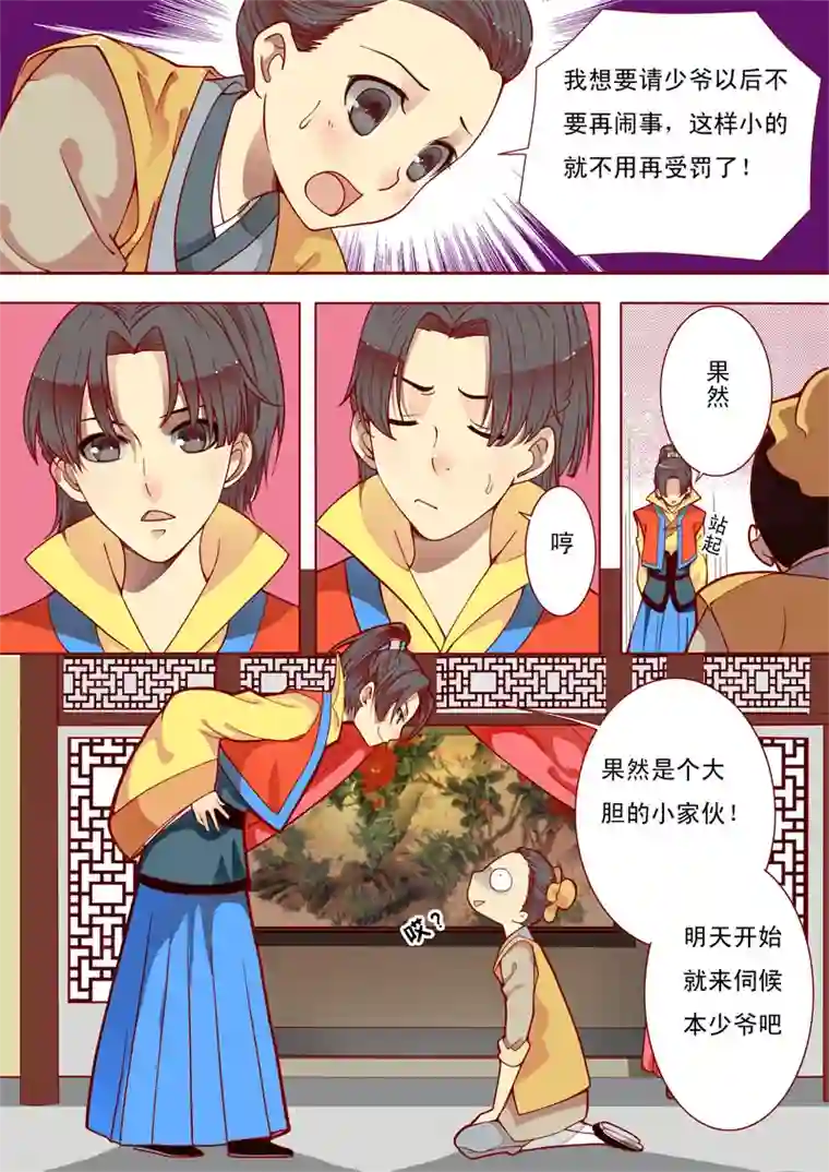 十两花芙蓉二