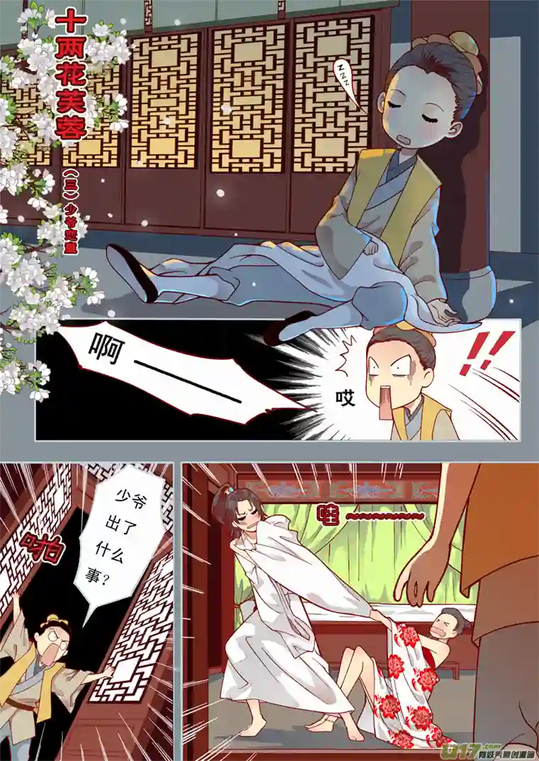 十两花芙蓉三
