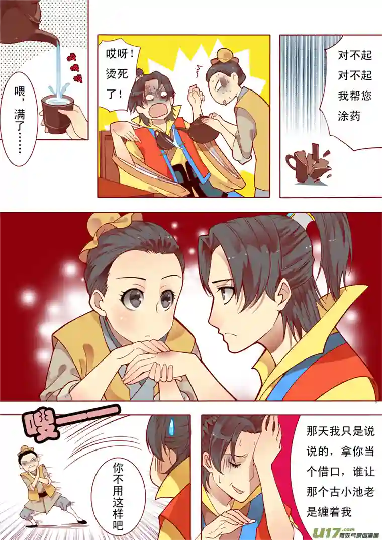 十两花芙蓉三