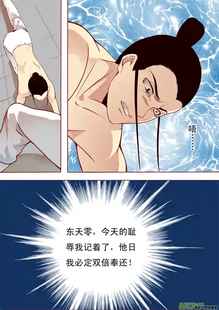 十两花芙蓉四