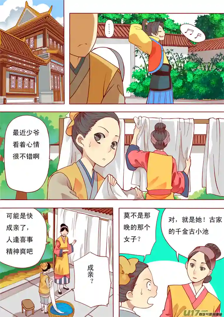十两花芙蓉五