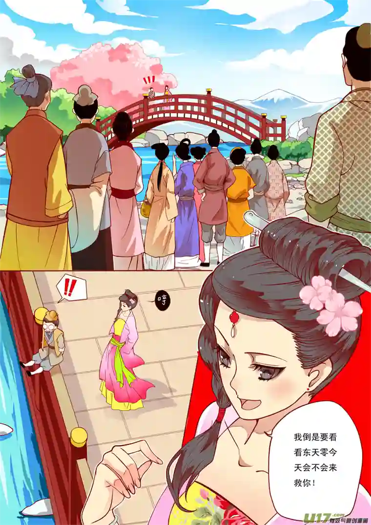 十两花芙蓉五