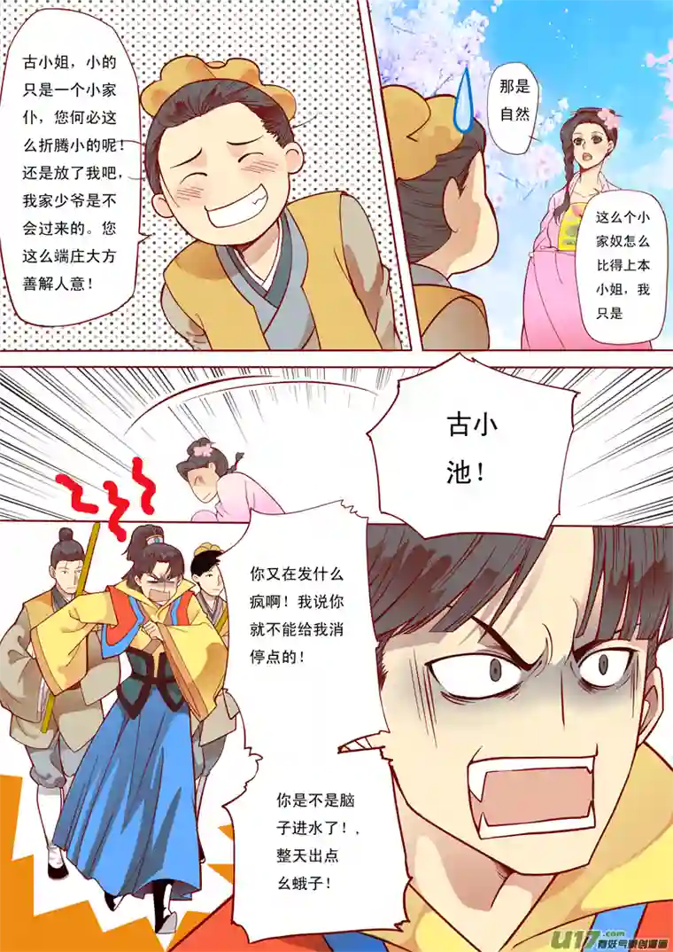 十两花芙蓉五