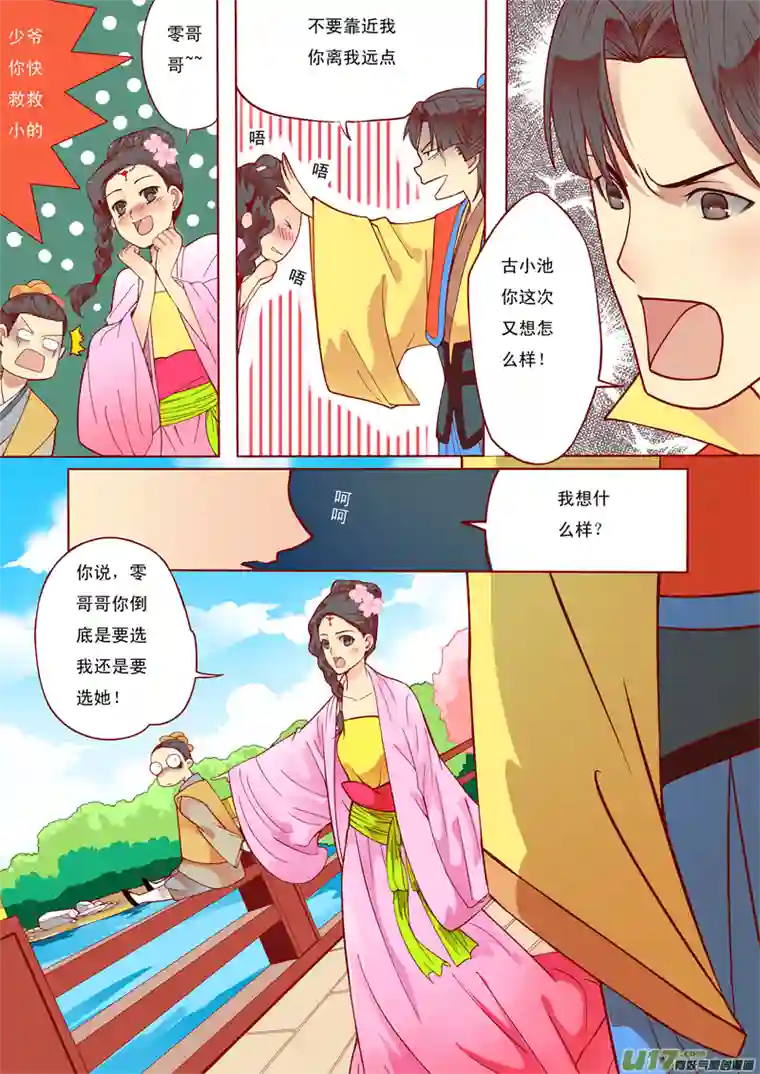 十两花芙蓉五