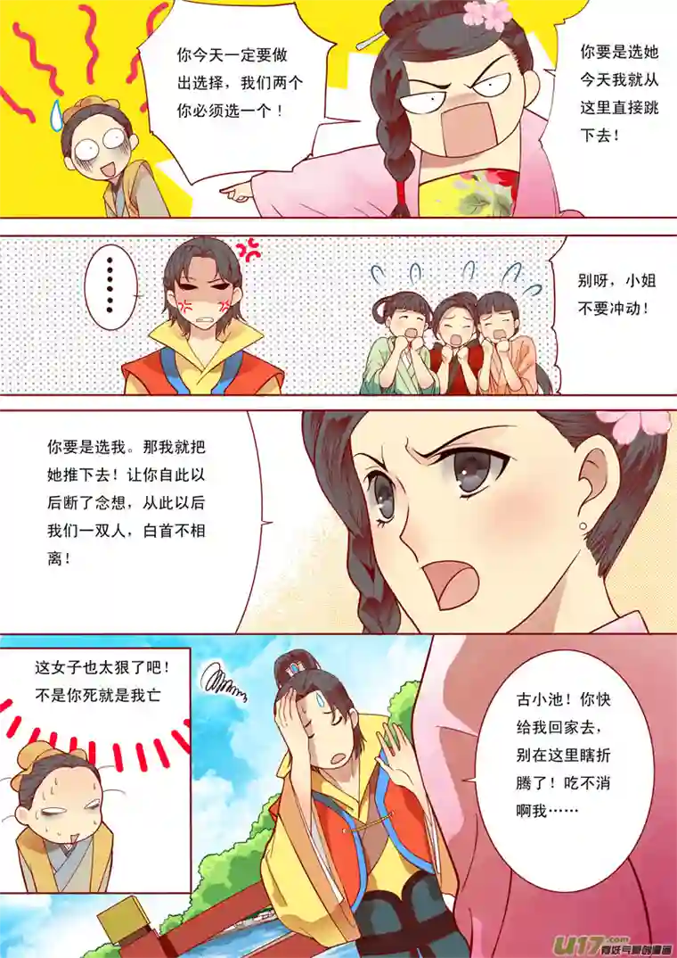 十两花芙蓉五