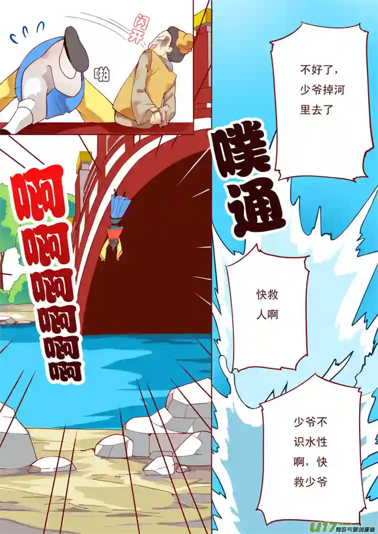 十两花芙蓉六