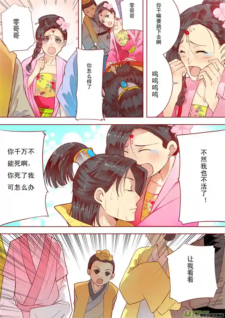 十两花芙蓉六