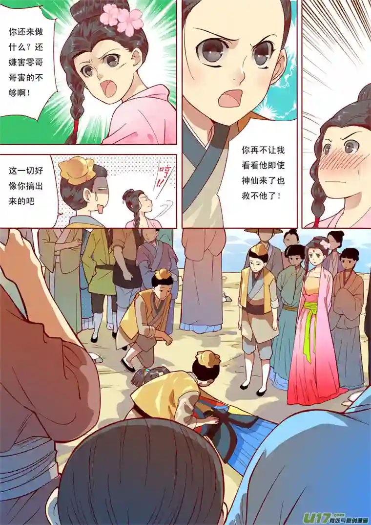 十两花芙蓉六