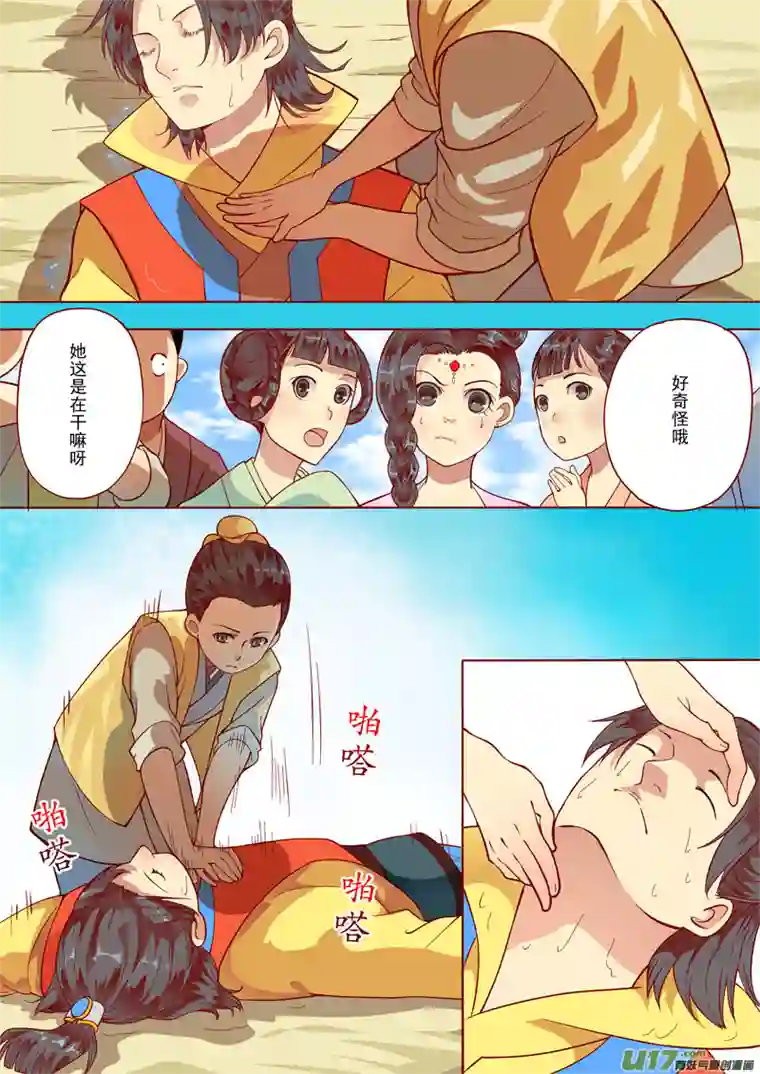 十两花芙蓉六