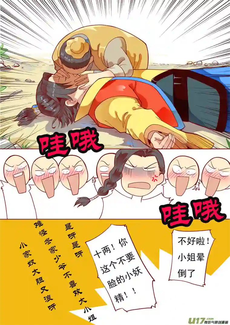 十两花芙蓉六