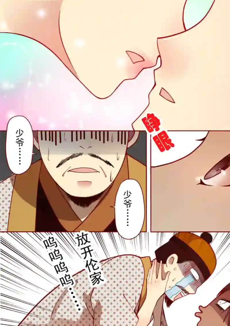 十两花芙蓉七