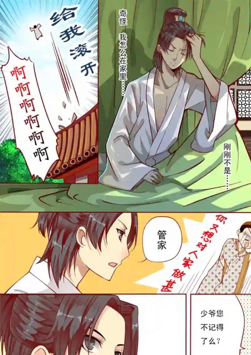 十两花芙蓉七