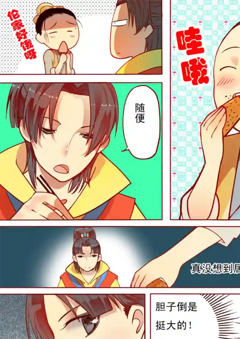 十两花芙蓉七