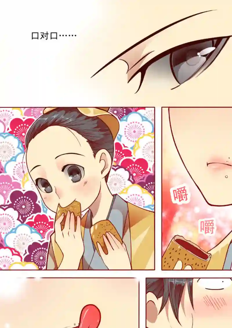 十两花芙蓉七