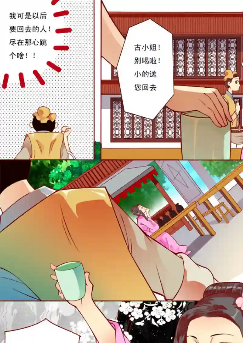 十两花芙蓉九