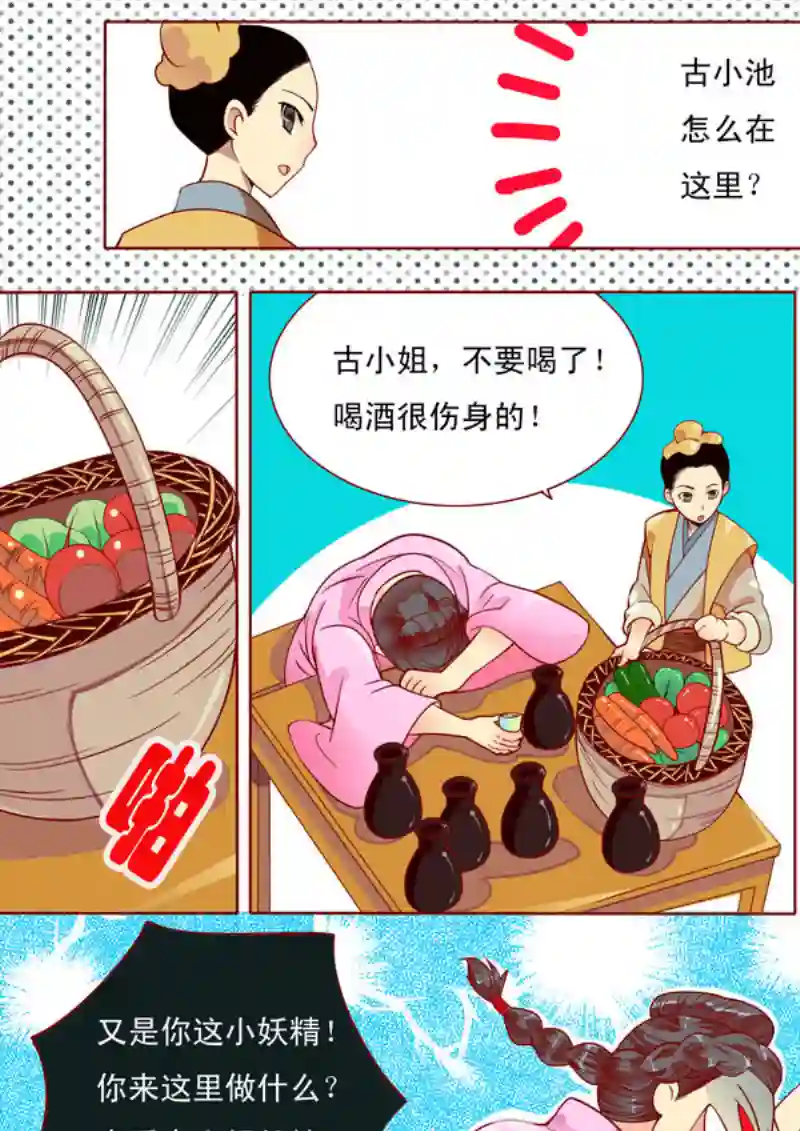十两花芙蓉九