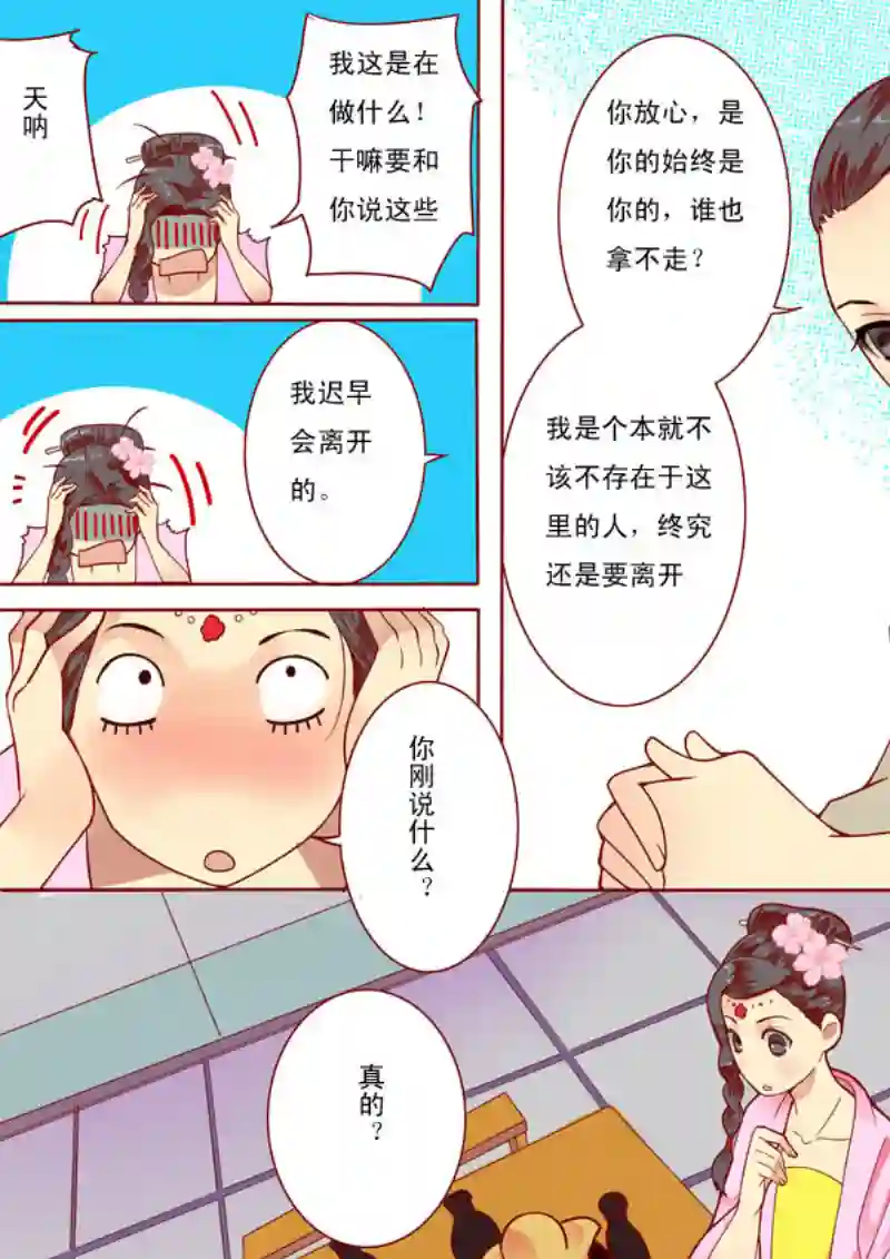 十两花芙蓉九