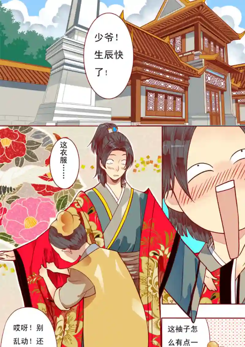 十两花芙蓉十