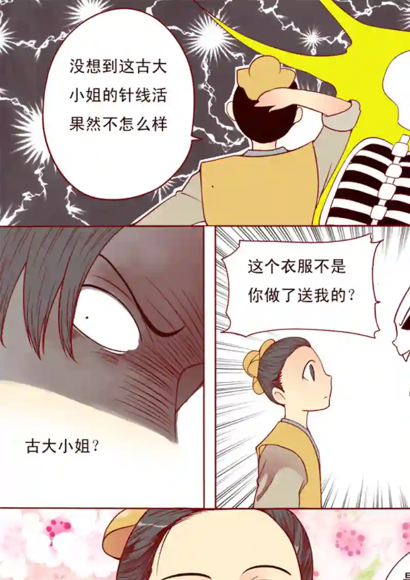 十两花芙蓉十