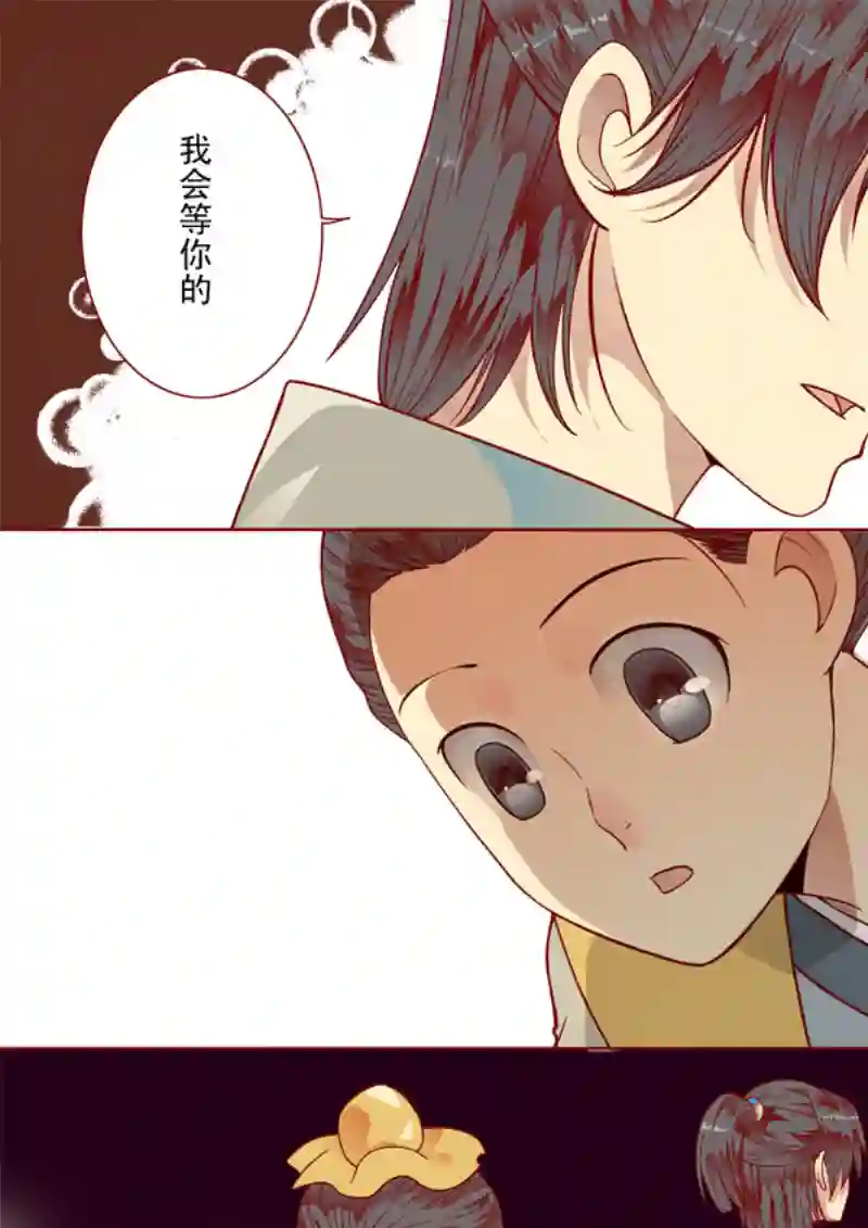 十两花芙蓉十