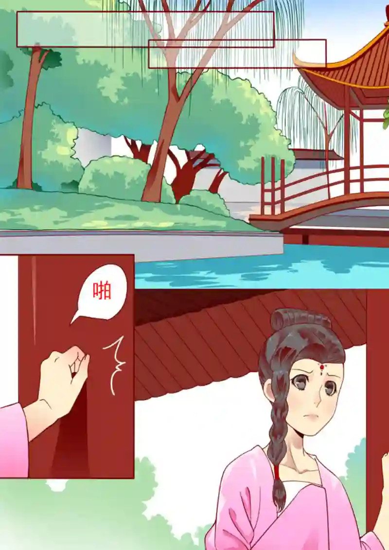 十两花芙蓉十二