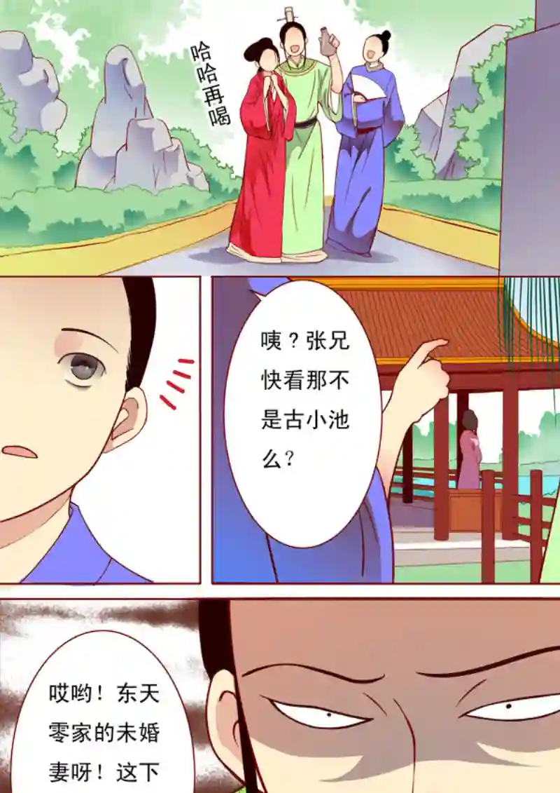 十两花芙蓉十二