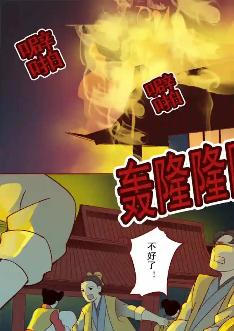 十两花芙蓉十二