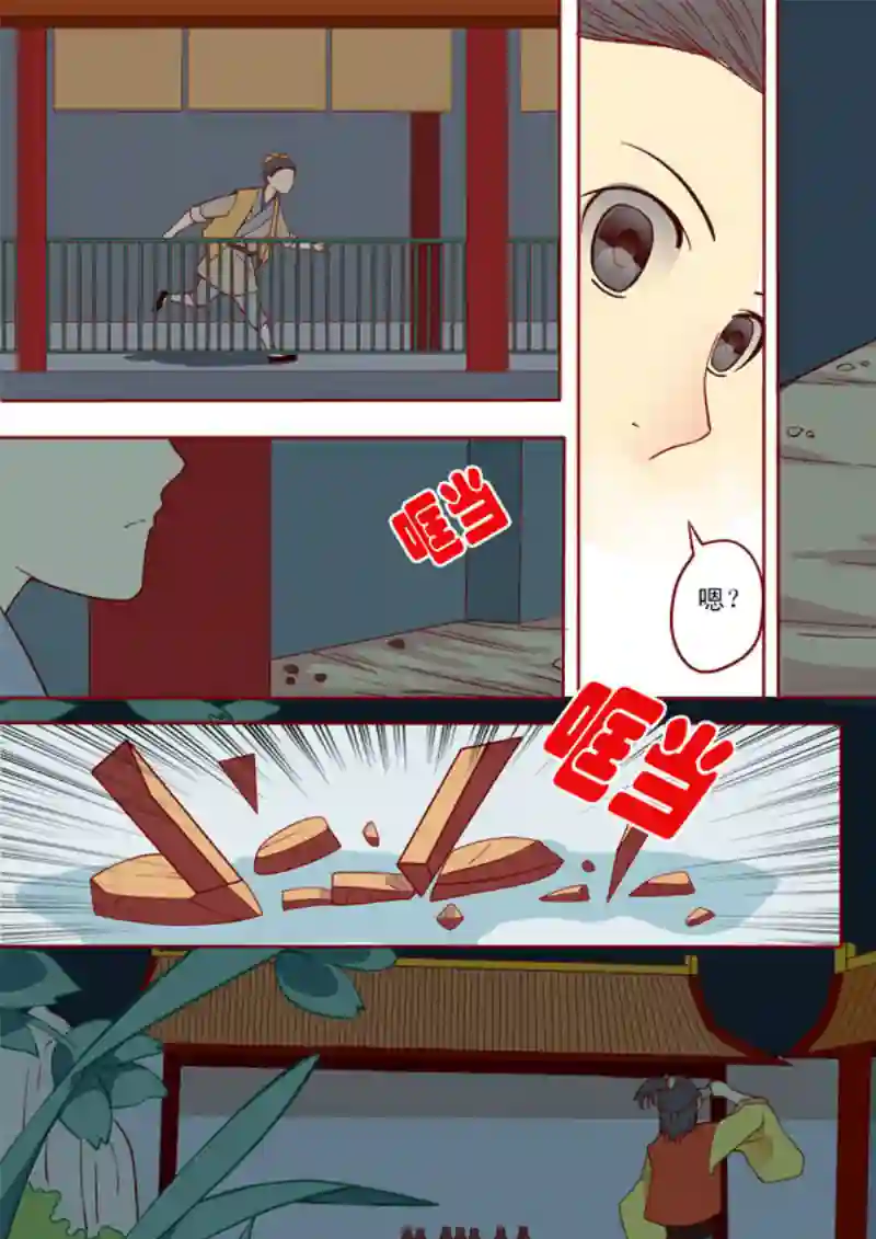 十两花芙蓉十二